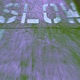 S L O W Single