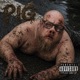 PIG Single