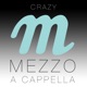 Crazy Single
