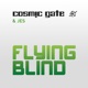 Flying Blind Remixes Single