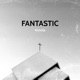 Fantastic Single