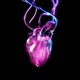 Don t Break My Heart Single