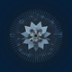 Valve Single