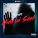 Hide N Seek Single