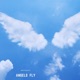 Angels Fly Single