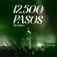 12 500 PASOS al Palau Sant Jordi
