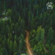 Not Alone feat Wilse Wilse Inspired Single