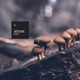 Dr Groove Zeta Reticuli Single