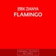 Flamingo Single