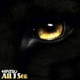 All I See Single