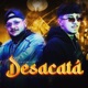 Desacatá Single