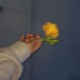 you were my yellow Single