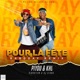 Pour la fête Raboday Remix feat Vibration DJ Stuba Single
