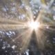 5 Am Single