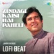 Zindagi Kaisi Hai Paheli Lofi Beat Single