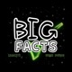 Big Facts feat week dudus Single
