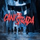 CANI PER STRADA Single