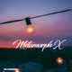 Metamorph X Single