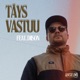 Täys vastuu feat Diison Single