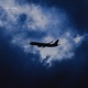 fly high Single