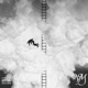 V M feat Spectrum Single