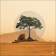 Mars Single
