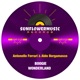 Boogie Wonderland Single