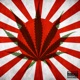 Japanese Law Order Flow Single