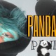 PANDA Single