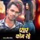 Pyar Kon Rahe Single
