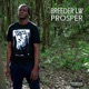Prosper Single