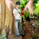 close Single
