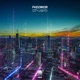 City Lights Single