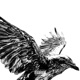 CROWS Single