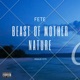Beast of Mother Nature Single