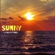 Sunny Single