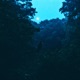 I can smell the forest Single