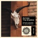 Across the Shadows feat Jared Robinson Single