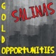 Gold Opportunities Single