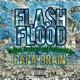 Flash Flood Single