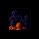 Neroli feat Simon McCorry