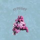 Syrener Nause Remix Single