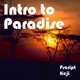 Intro to Paradise feat Keji Single