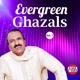 Evergreen Ghazals Vol 7