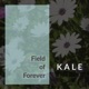 Field of Forever Single