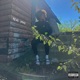 Real Pain feat Dasan The Medicine Man Single