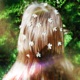 dandelion field Single