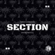 Section Instrumental Single