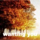 Wanting You feat Cxrter Single