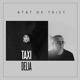 Atat de Trist Radio Edit feat Delia Single